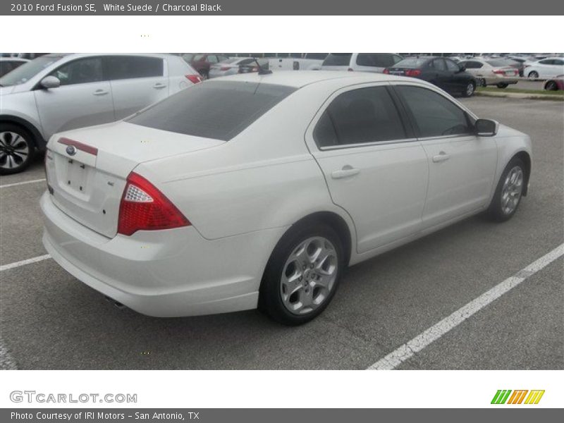 White Suede / Charcoal Black 2010 Ford Fusion SE