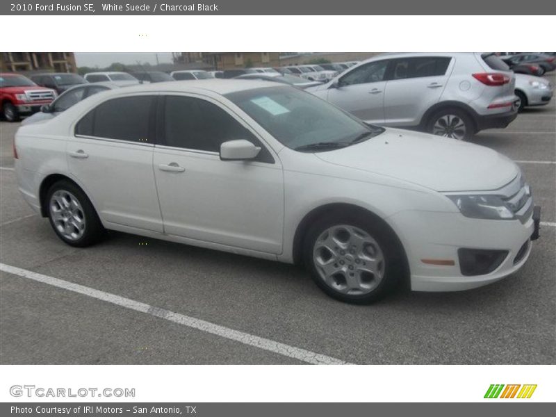 White Suede / Charcoal Black 2010 Ford Fusion SE