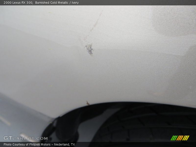 Burnished Gold Metallic / Ivory 2000 Lexus RX 300