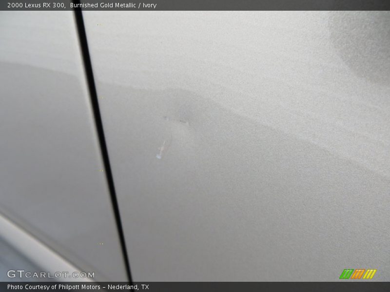 Burnished Gold Metallic / Ivory 2000 Lexus RX 300