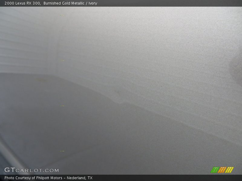 Burnished Gold Metallic / Ivory 2000 Lexus RX 300