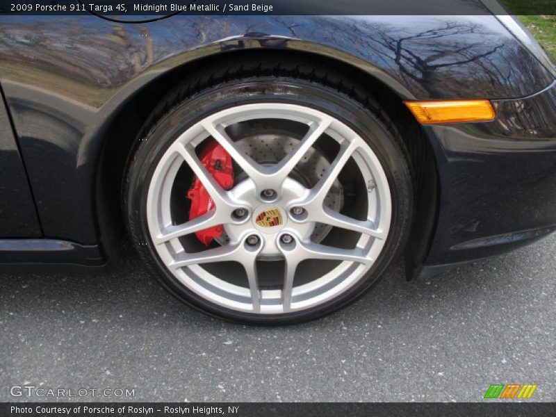  2009 911 Targa 4S Wheel