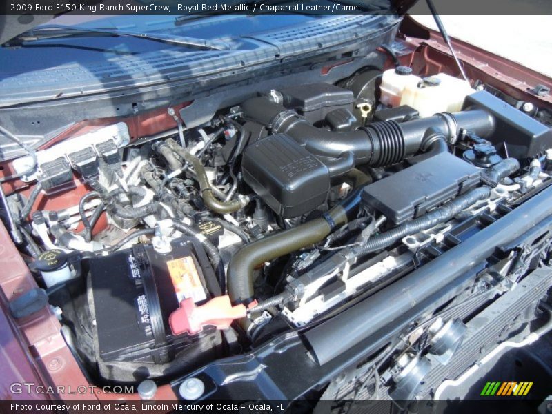 Royal Red Metallic / Chaparral Leather/Camel 2009 Ford F150 King Ranch SuperCrew