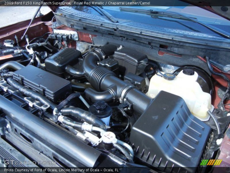 Royal Red Metallic / Chaparral Leather/Camel 2009 Ford F150 King Ranch SuperCrew