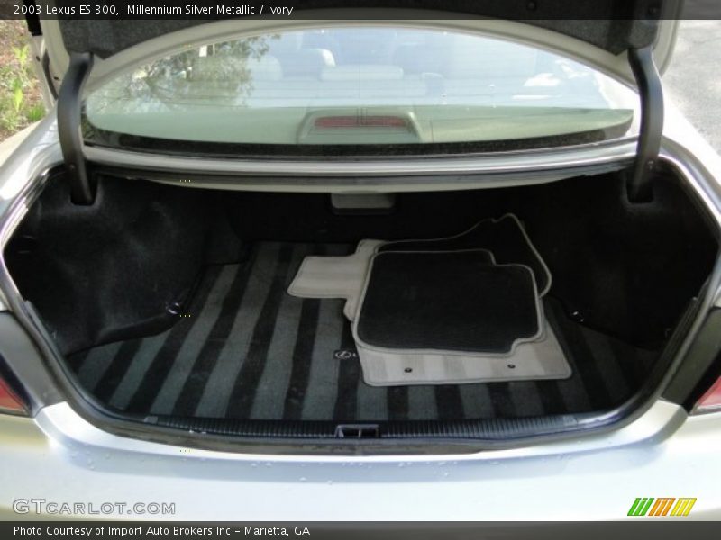 Millennium Silver Metallic / Ivory 2003 Lexus ES 300