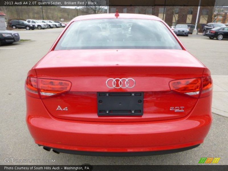 Brilliant Red / Black 2013 Audi A4 2.0T quattro Sedan