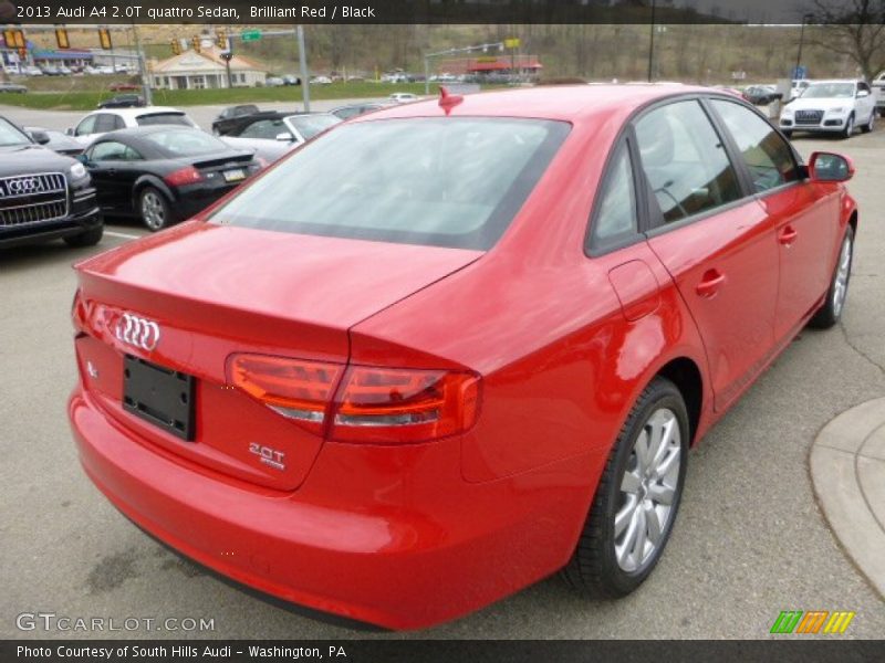 Brilliant Red / Black 2013 Audi A4 2.0T quattro Sedan