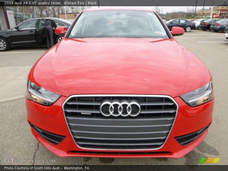 Brilliant Red / Black 2013 Audi A4 2.0T quattro Sedan