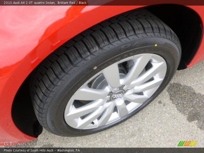 Brilliant Red / Black 2013 Audi A4 2.0T quattro Sedan
