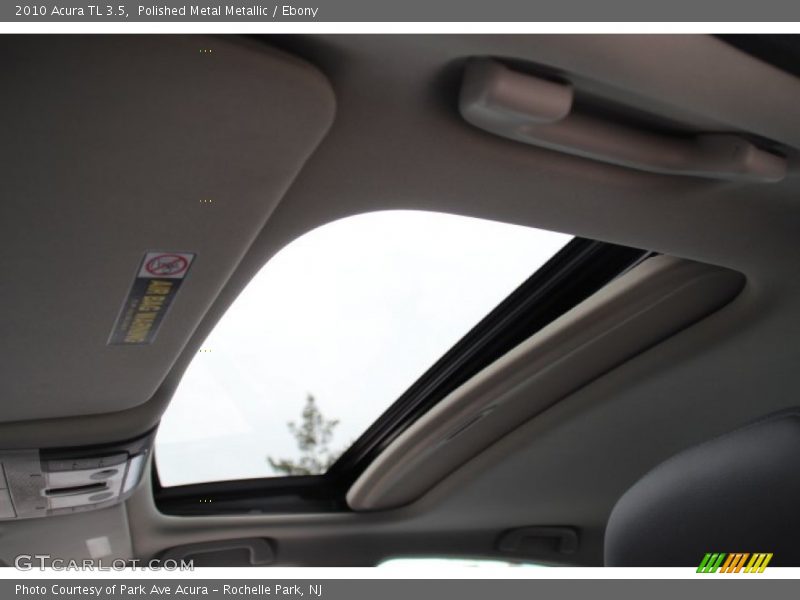 Polished Metal Metallic / Ebony 2010 Acura TL 3.5