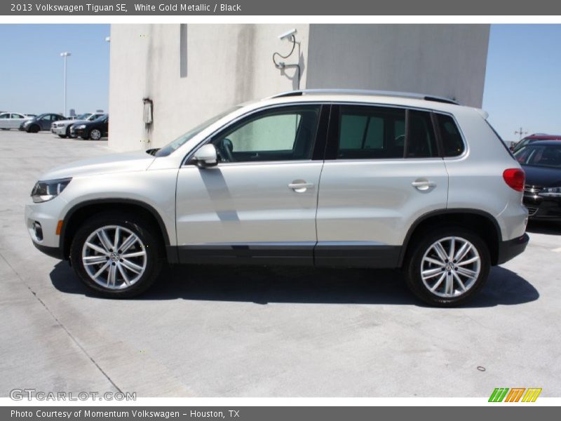 White Gold Metallic / Black 2013 Volkswagen Tiguan SE