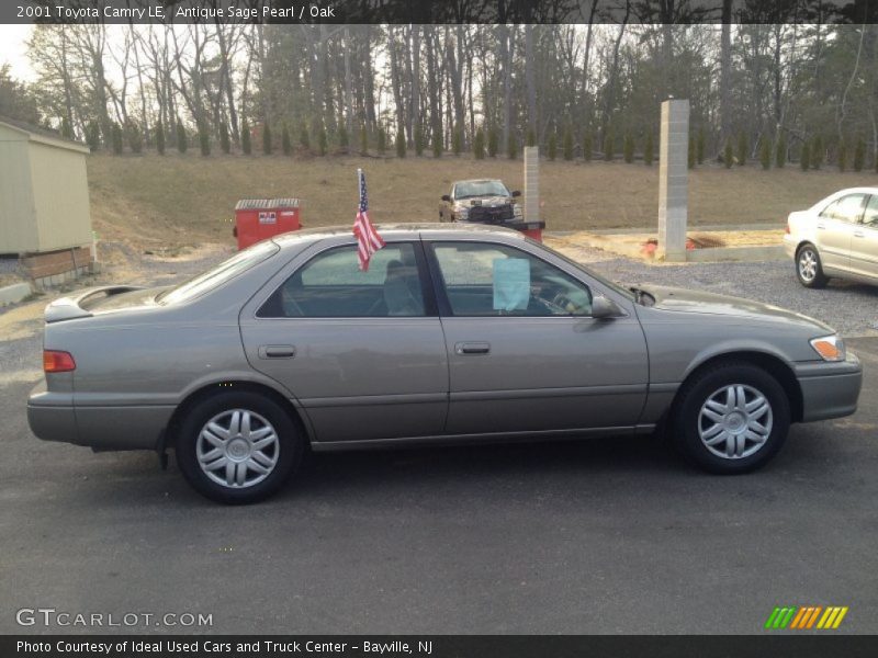 Antique Sage Pearl / Oak 2001 Toyota Camry LE