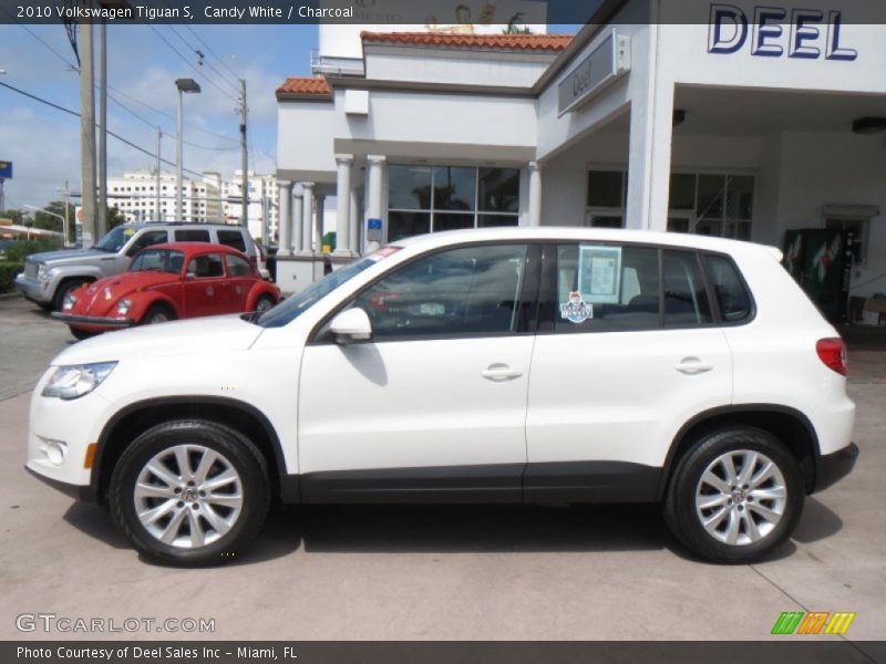 Candy White / Charcoal 2010 Volkswagen Tiguan S