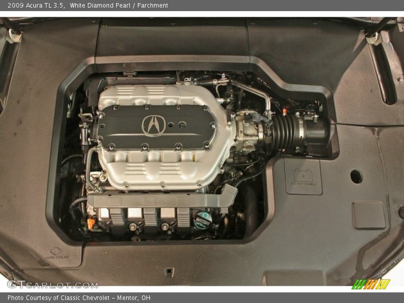 White Diamond Pearl / Parchment 2009 Acura TL 3.5