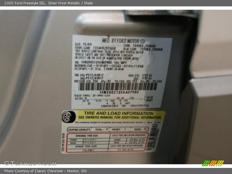 2005 Freestyle SEL Silver Frost Metallic Color Code TS