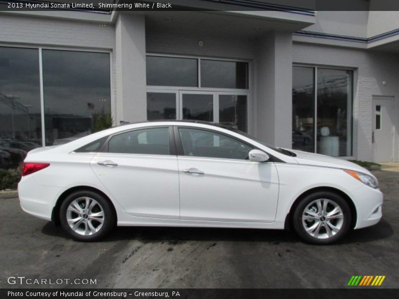 Shimmering White / Black 2013 Hyundai Sonata Limited