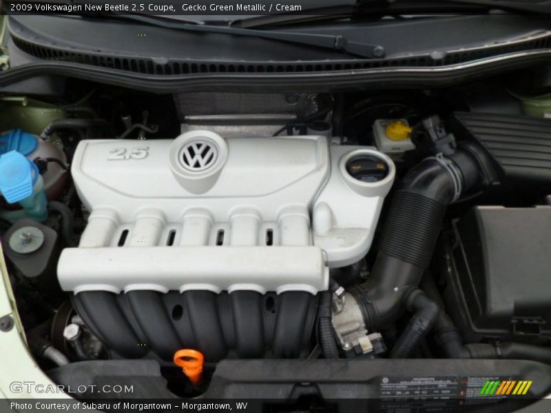 Gecko Green Metallic / Cream 2009 Volkswagen New Beetle 2.5 Coupe