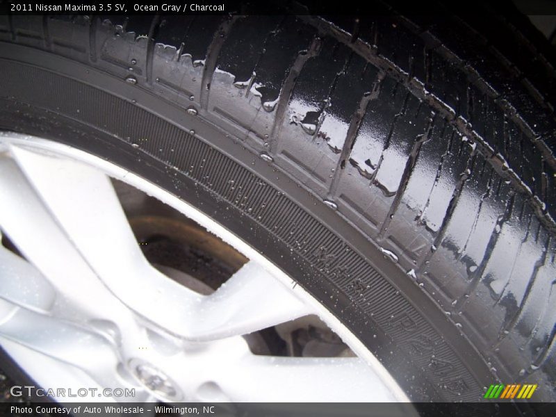Ocean Gray / Charcoal 2011 Nissan Maxima 3.5 SV