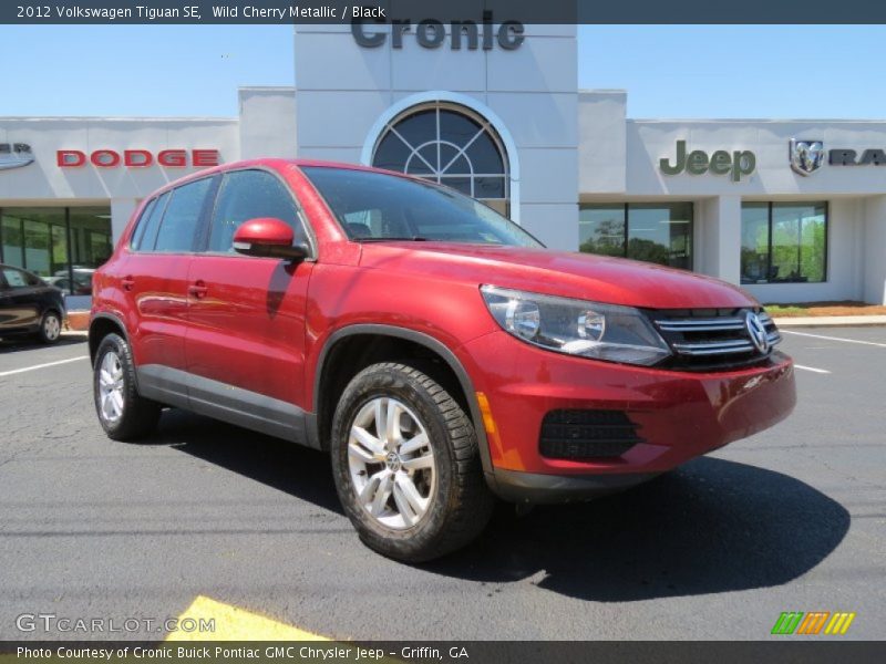 Wild Cherry Metallic / Black 2012 Volkswagen Tiguan SE