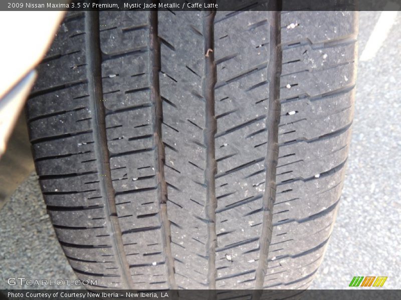 Mystic Jade Metallic / Caffe Latte 2009 Nissan Maxima 3.5 SV Premium