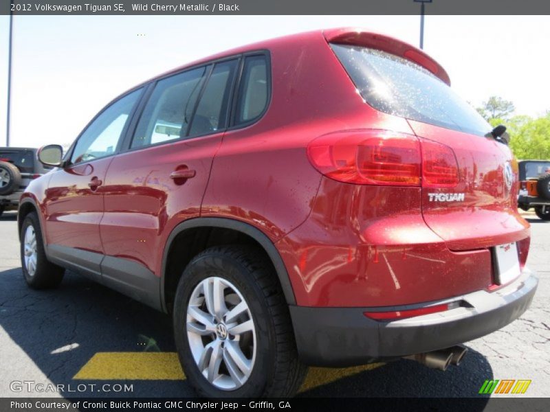 Wild Cherry Metallic / Black 2012 Volkswagen Tiguan SE