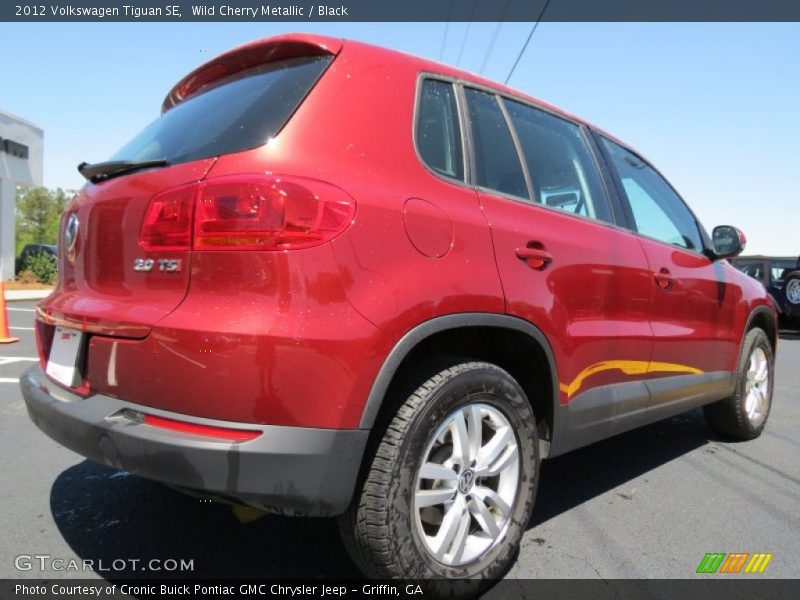 Wild Cherry Metallic / Black 2012 Volkswagen Tiguan SE