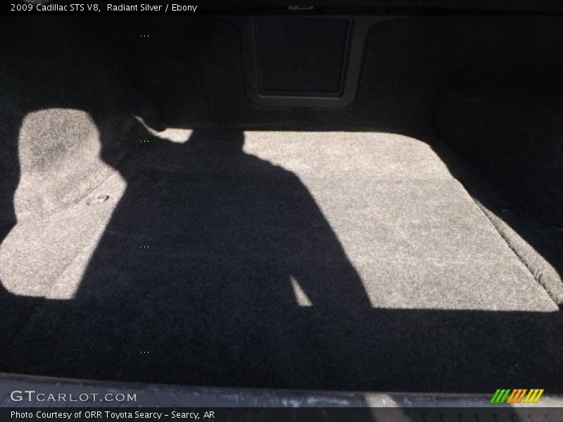 Radiant Silver / Ebony 2009 Cadillac STS V8