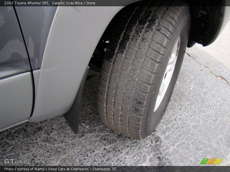 Galactic Gray Mica / Stone 2003 Toyota 4Runner SR5