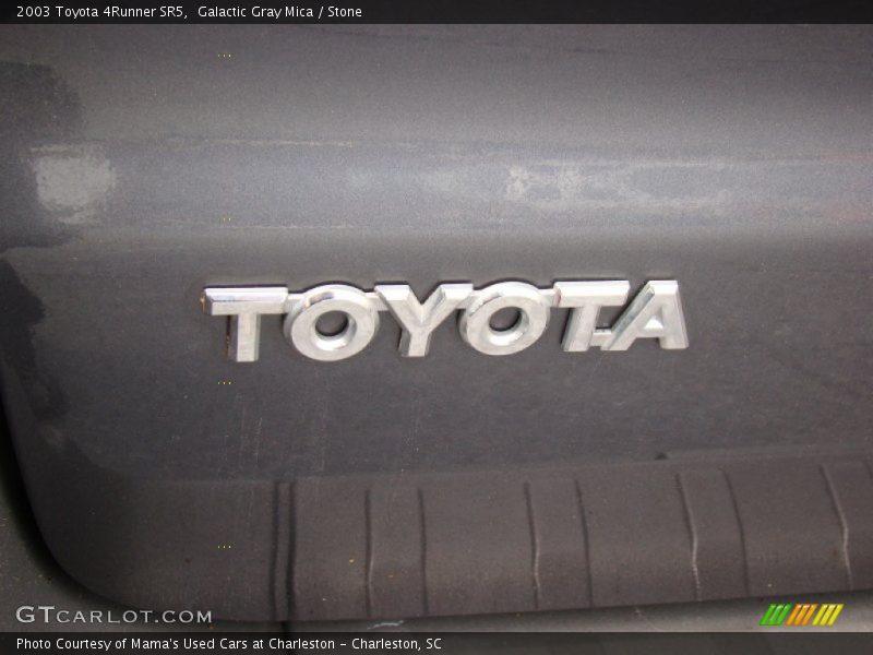 Galactic Gray Mica / Stone 2003 Toyota 4Runner SR5