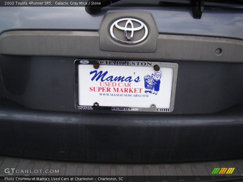 Galactic Gray Mica / Stone 2003 Toyota 4Runner SR5