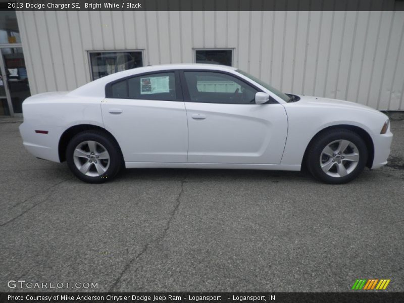 Bright White / Black 2013 Dodge Charger SE