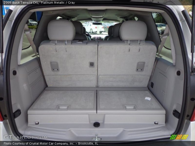 Platinum Metallic / Gray 2005 Buick Terraza CXL