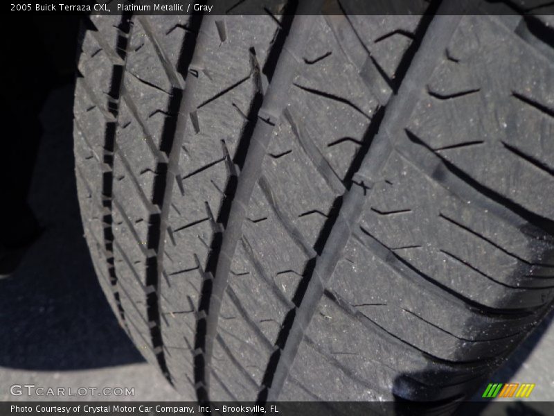 Platinum Metallic / Gray 2005 Buick Terraza CXL