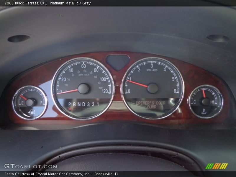 Platinum Metallic / Gray 2005 Buick Terraza CXL