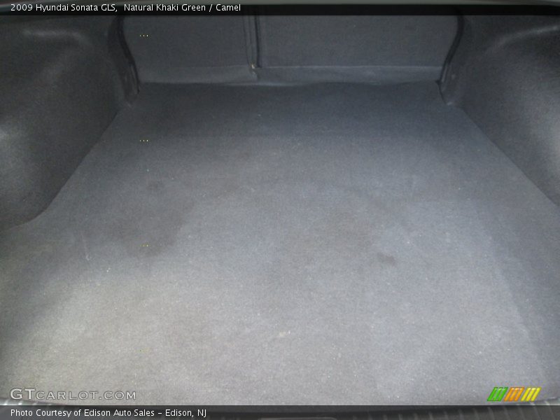 Natural Khaki Green / Camel 2009 Hyundai Sonata GLS
