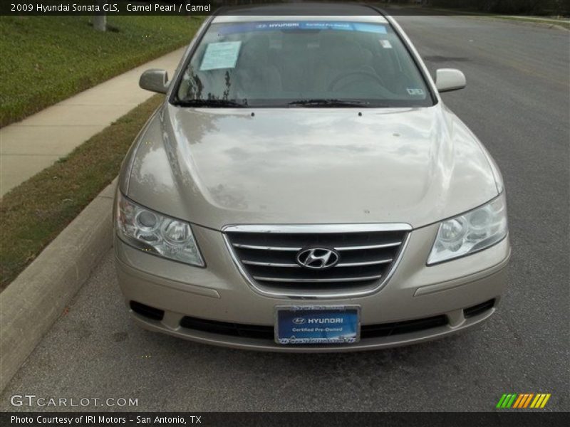 Camel Pearl / Camel 2009 Hyundai Sonata GLS
