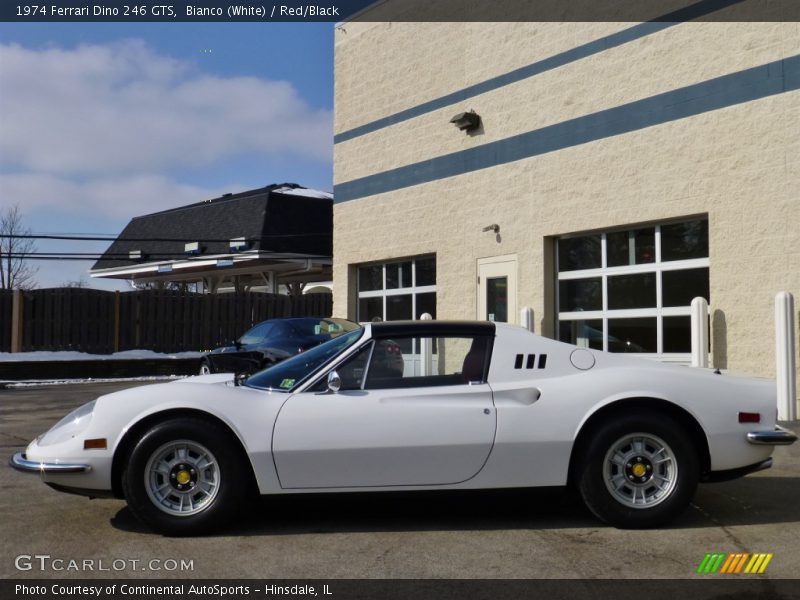  1974 Dino 246 GTS Bianco (White)