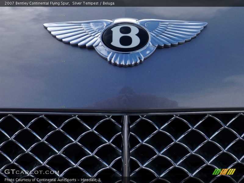 Silver Tempest / Beluga 2007 Bentley Continental Flying Spur