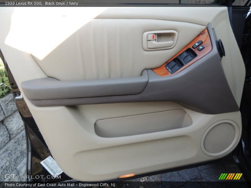 Black Onyx / Ivory 1999 Lexus RX 300