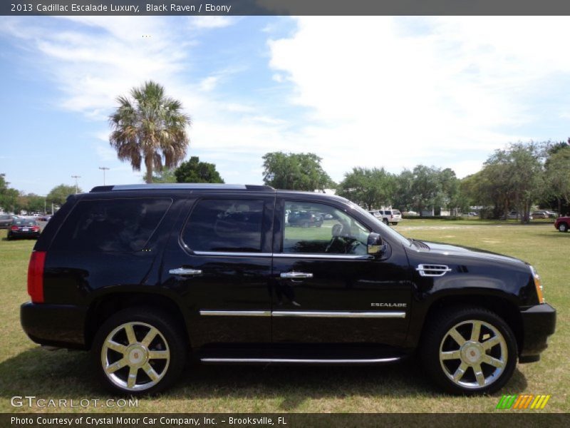 Black Raven / Ebony 2013 Cadillac Escalade Luxury