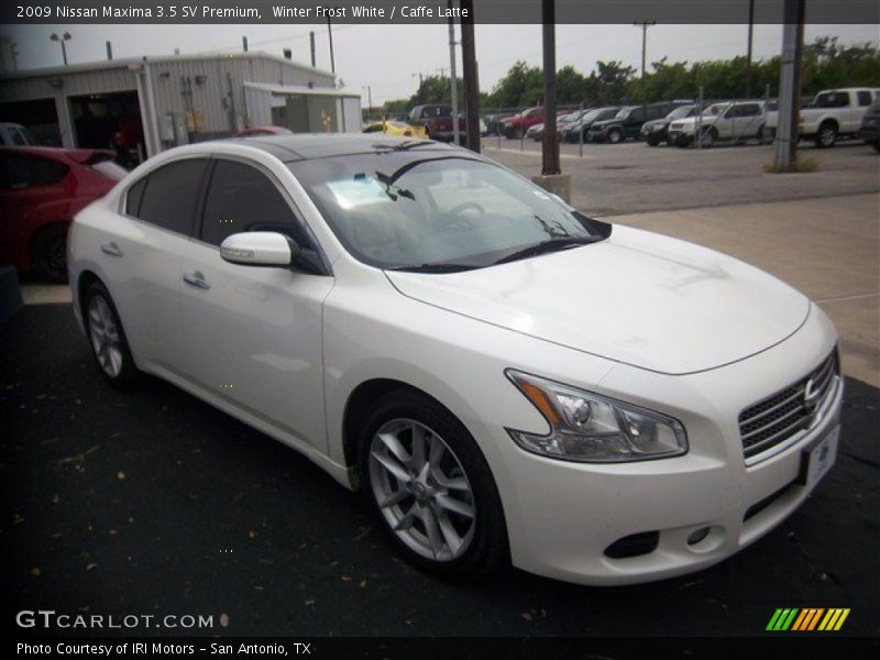 Winter Frost White / Caffe Latte 2009 Nissan Maxima 3.5 SV Premium