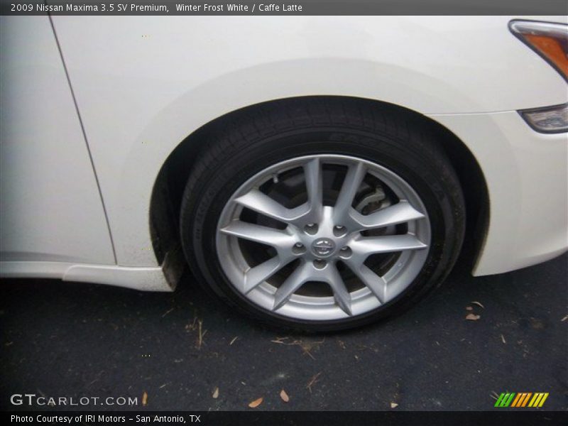 Winter Frost White / Caffe Latte 2009 Nissan Maxima 3.5 SV Premium