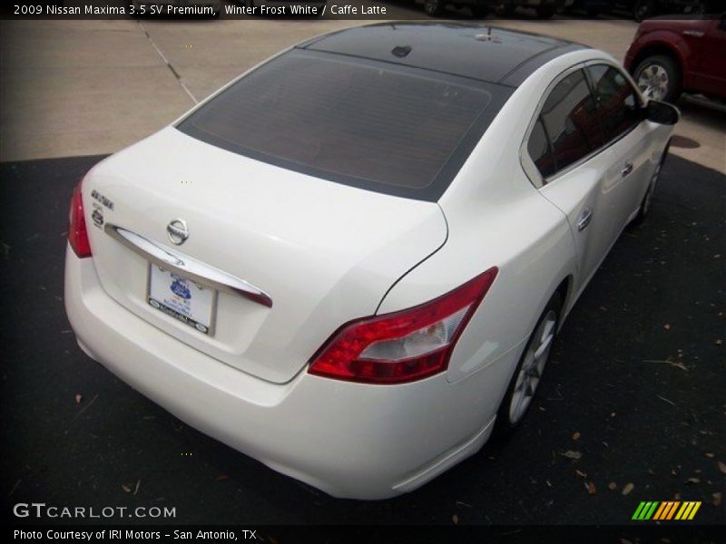 Winter Frost White / Caffe Latte 2009 Nissan Maxima 3.5 SV Premium