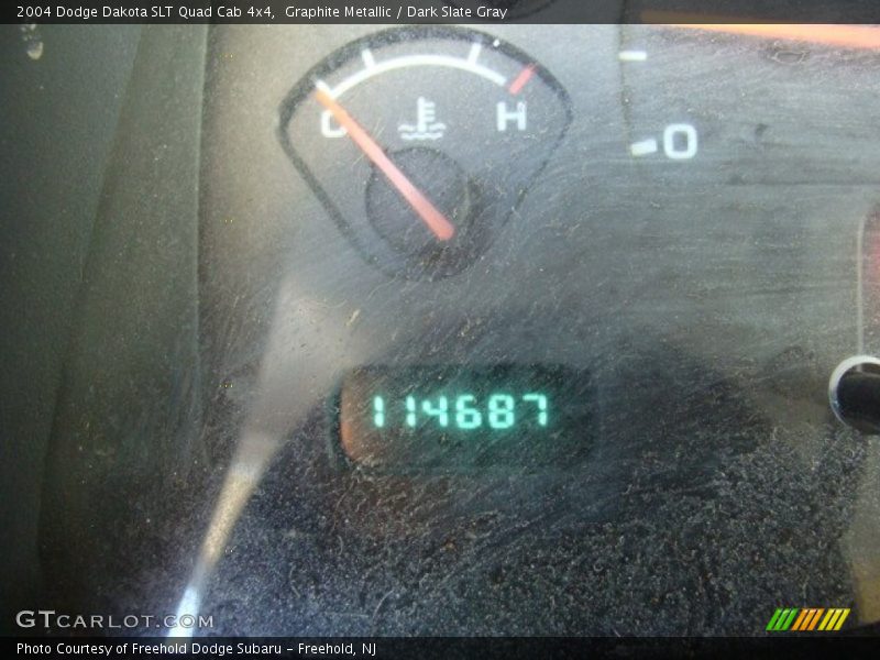 Graphite Metallic / Dark Slate Gray 2004 Dodge Dakota SLT Quad Cab 4x4
