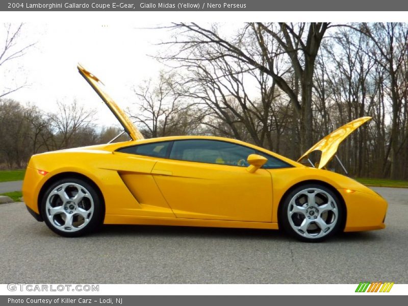 Giallo Midas (Yellow) / Nero Perseus 2004 Lamborghini Gallardo Coupe E-Gear