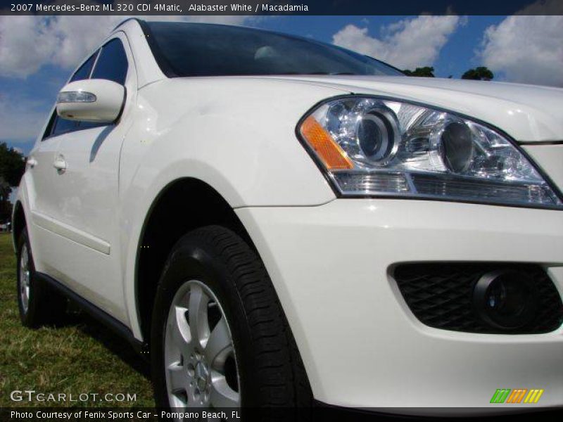 Alabaster White / Macadamia 2007 Mercedes-Benz ML 320 CDI 4Matic