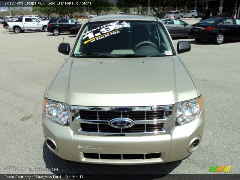 Gold Leaf Metallic / Stone 2012 Ford Escape XLS