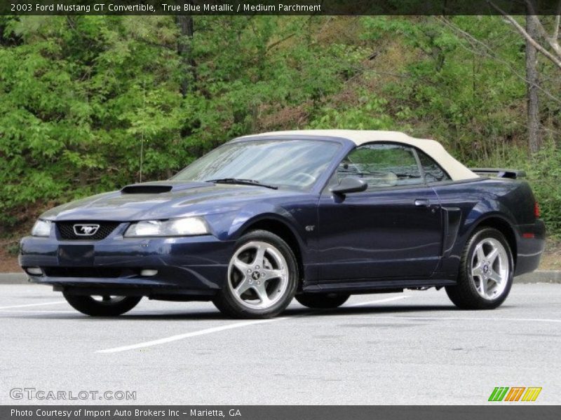 True Blue Metallic / Medium Parchment 2003 Ford Mustang GT Convertible