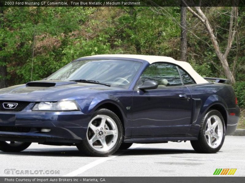 True Blue Metallic / Medium Parchment 2003 Ford Mustang GT Convertible