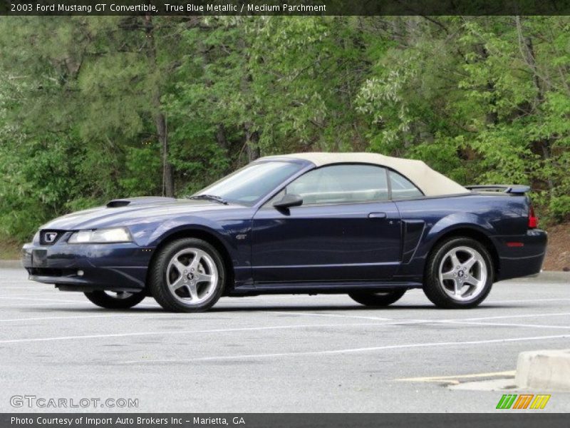 True Blue Metallic / Medium Parchment 2003 Ford Mustang GT Convertible